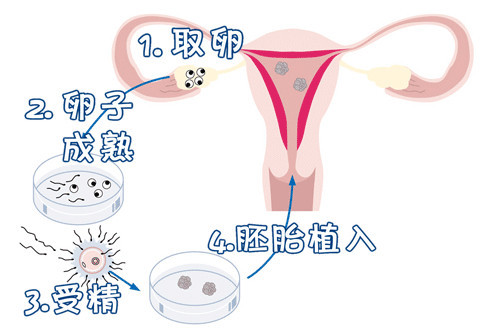 蘇懷安